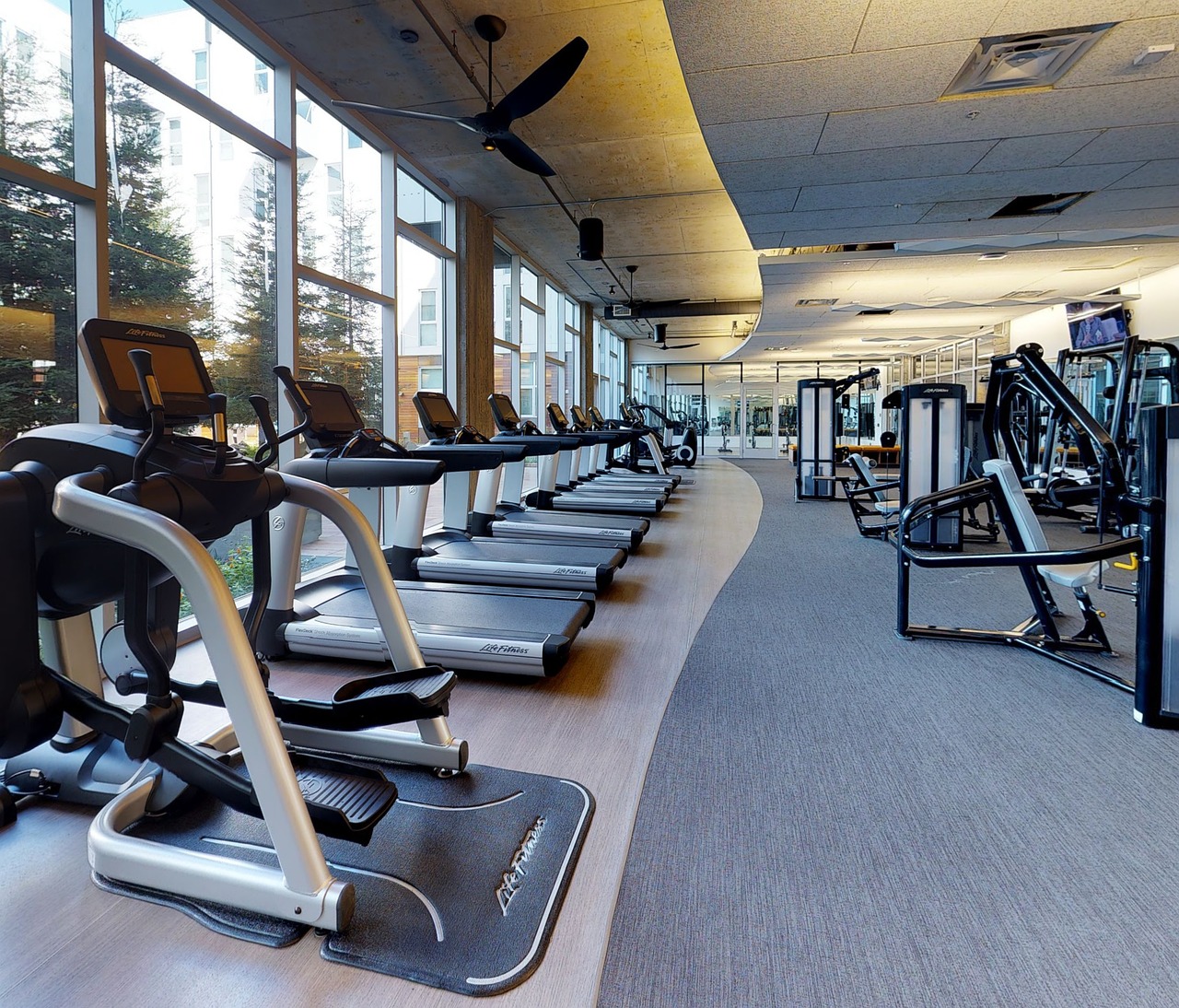 Life Fitness Technogym használt kardiogépek